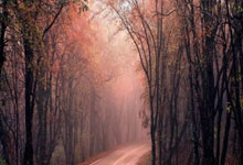 Fintech 2025: A Data-Driven Look at Innovation, Security, and UX - r/Fintech Explodes