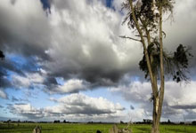 Accenture: The AI Hype, Stock Drama, and Layoff Reality – What Reddit's Saying