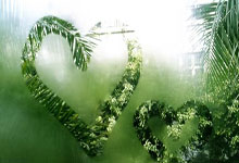 Pizza: What the Data Says About Its True Cost and Market Value